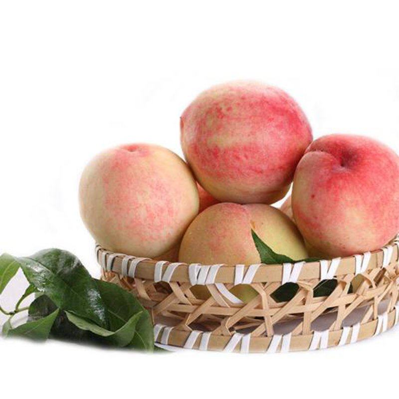 密云农家头茬新鲜水蜜桃 毛桃 甜爽脆 宝宝孕妇水果 现摘500g,水产肉类/新鲜蔬果/熟食,桃,淘宝优惠券,粉丝福利购,淘宝优惠卷