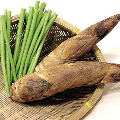 农家脆嫩春笋鲜笋竹笋新鲜500g