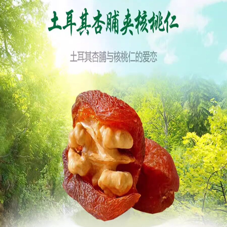 产地直发 新疆特产 沙漠客杏包仁  核桃仁 杏脯肉 500克 全国包邮