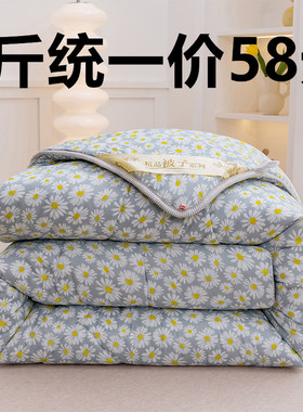 被子冬被加厚保暖棉被冬季纤维被絮芯空调被学生单双人宿舍春秋被