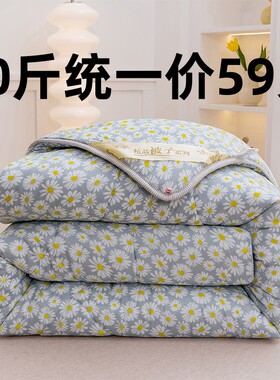 被子冬被加厚保暖棉被冬季棉絮被芯空调被学生单人宿舍双人春秋被