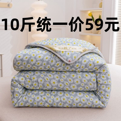 被子冬被加厚保暖单人双人春秋被