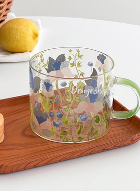 橘橙轻奢透明玻璃杯花卉印花水杯绿色把手家用饮水杯清新自然风