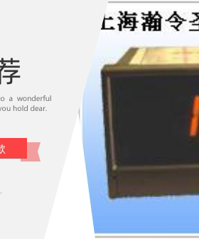 三位半数字直流电压表DP3-DV200