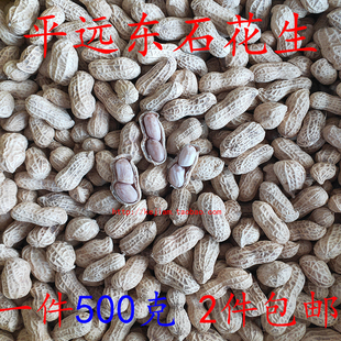东石花生平远农家自晒水煮花生客家特产咸干花生新鲜原味 2件包邮