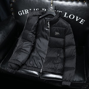 2025秋冬新款立领重工90羽绒服6016-F6016-P320图片