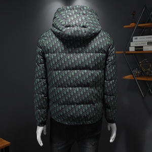 2022男连帽90%白鸭绒羽绒服钱塘6016-F6602P290图片