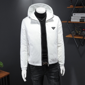 90%白鸭绒新款男士连帽羽绒服钱塘6016-F9191P300图片