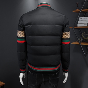 90%白鸭绒新款男士立领羽绒服钱塘6016-F9180P280图片