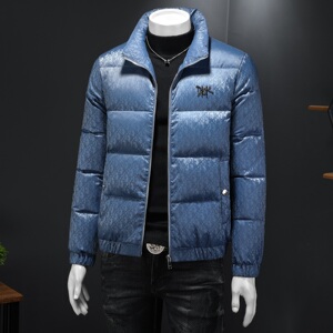 2025秋冬新款立领重工90羽绒服6016-F6016-P320图片