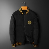 白鸭绒2024新款男士立领羽绒服钱塘6016-18116P280，男装羽绒服，钱塘6016