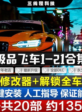 赛车飞车1-21全系列合集优盘硬盘全DLCS送修改器+存档PC电脑游戏