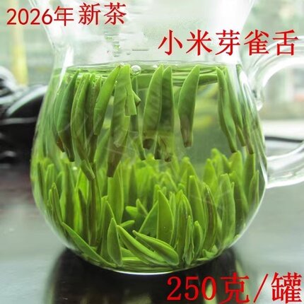 2026年新茶叶雀舌绿茶四川峨眉山早春小米芽明前高山绿茶健和雪芽