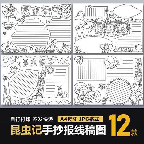 昆虫记读后感手抄报电子版小学生好书推荐手绘小报a4线稿模板