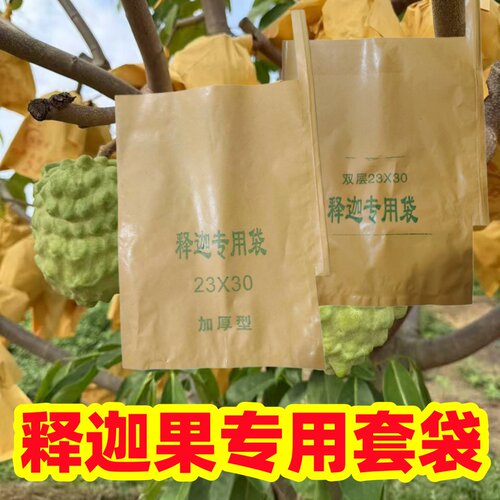 释迦专用套袋防虫防鸟防晒防水
