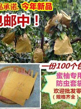 柚子专用套袋红肉防虫水果