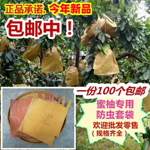包柚子专用套袋红肉柚三红蜜柚防虫鸟水果套袋马家柚双三层30/326