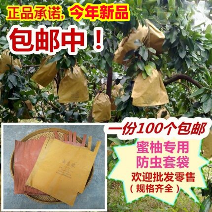 包柚子专用套袋红肉柚三红蜜柚防虫鸟水果套袋马家柚双三层30/326