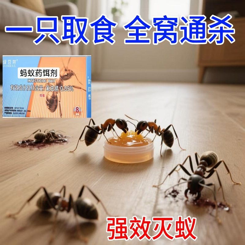 强效蚂蚁药家用灭除黑红蚂蚁饵剂