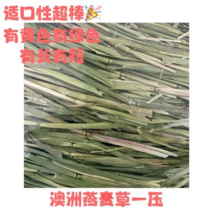 【小兔乔治】澳洲燕麦草一压兔子豚鼠龙猫500g燕麦草晒干绿燕麦