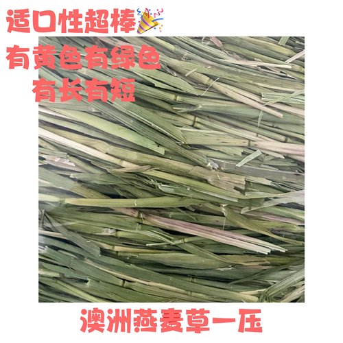 【小兔乔治】澳洲燕麦草一压兔子豚鼠龙猫500g燕麦草晒干绿燕麦
