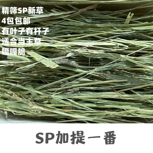 sp兔子草赛级加提一番兔子