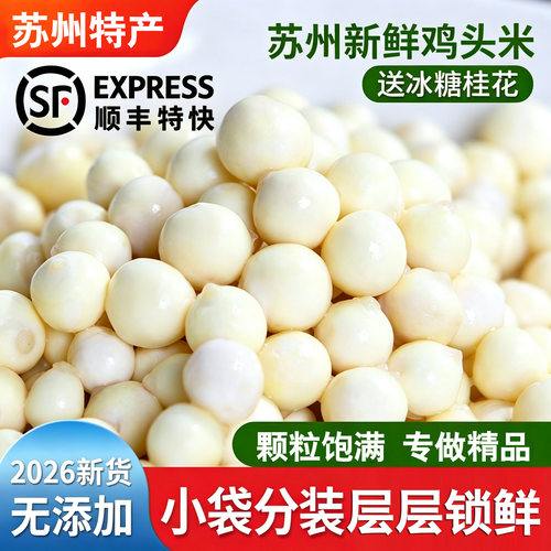苏州新鲜特大颗粒鸡头米