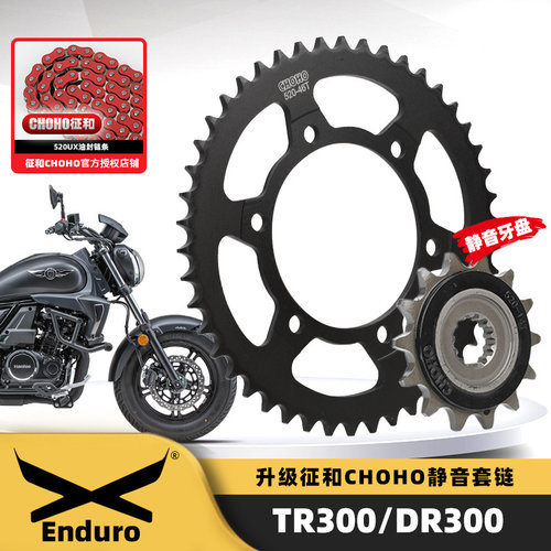 适用豪爵DR300/TR300/XCR300降噪牙盘链轮征和X2油封链条三件套