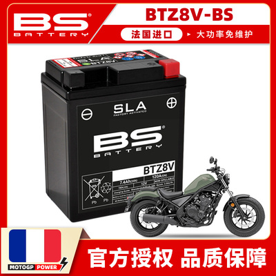 本田CM300CM500法国BS大功率电池