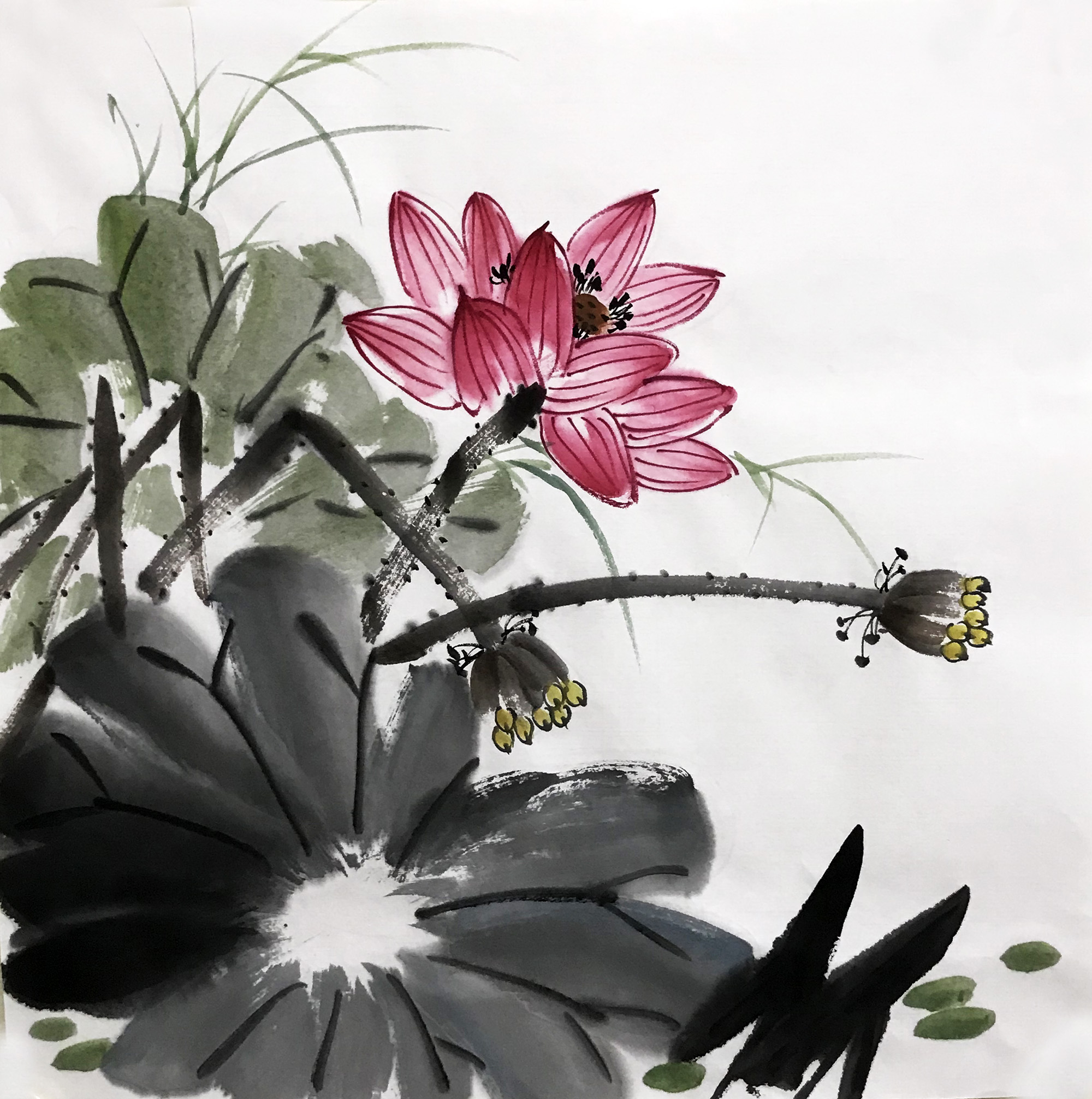 无款手绘墙画玄关宣纸水墨花鸟画