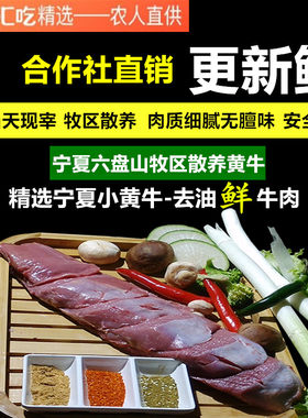 精修宁夏牛肉宁夏黄牛肉新鲜现宰