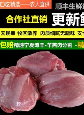 羊腿肉 精修去油肉纯瘦2斤新鲜现宰羊羔肉宁夏滩羊羊腿羊排羊蝎子