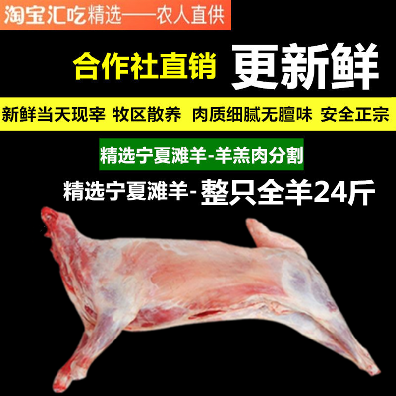 宁夏滩羊全羊整羊新鲜24斤