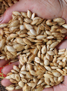 农家自种老南瓜土种毛边南瓜子原味无添加散装新货生籽也有500g