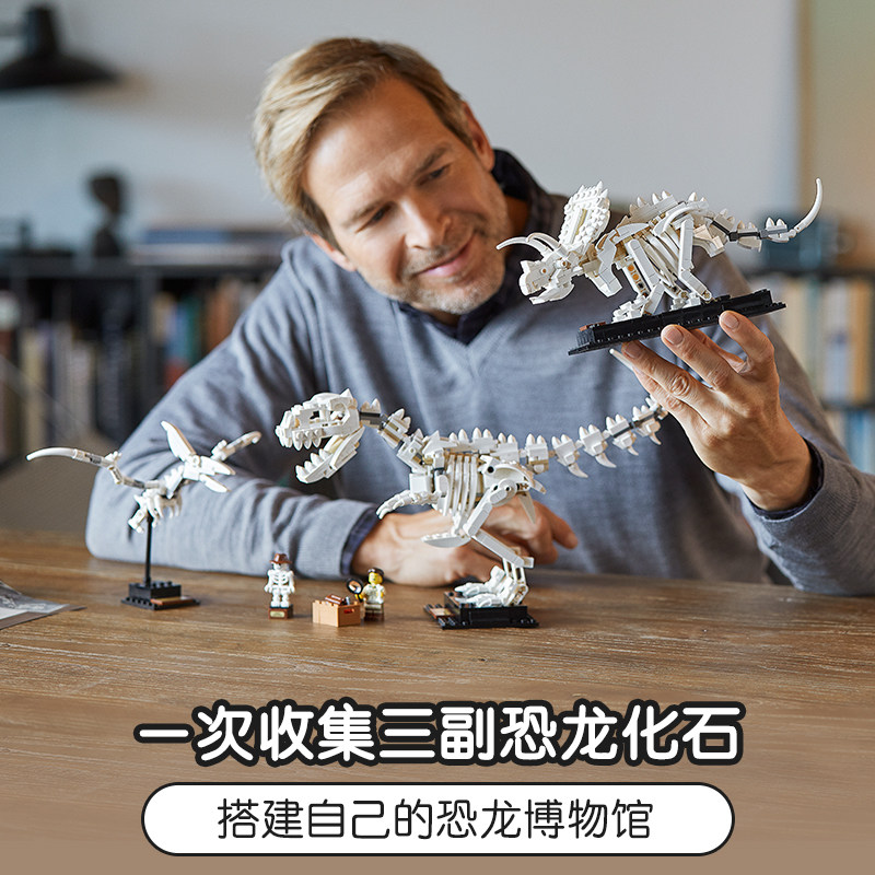ideas创意系列侏罗纪恐龙化石兼容乐高男孩女孩拼装积木玩具21320