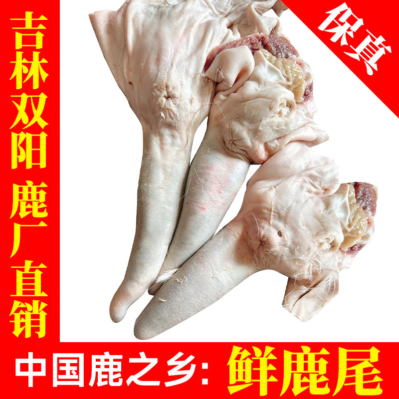 吉林鹿乡正品梅花鹿 鲜鹿尾巴 可搭配 鹿鞭 鹿茸片 煲汤泡酒400克