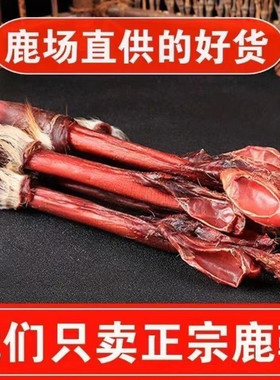 吉林梅花鹿鞭干整根鹿茸泡酒鹿鞭酒 鲜鹿鞭尾巴正品产地直发100克