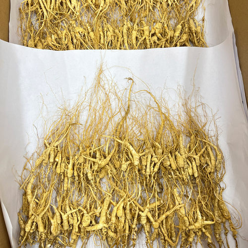 正宗12年东北林下参长白山人参林下参残参干货人参泡酒专用中药材