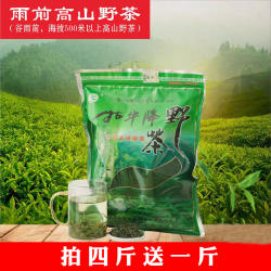2026年新茶绿茶炒青茶叶石台野生硒茶牯牛降高山野茶雨前二级500g