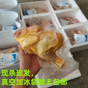 石台农家散养皖南土鸡跑山鸡现杀现发真空新鲜老母鸡顺丰包邮
