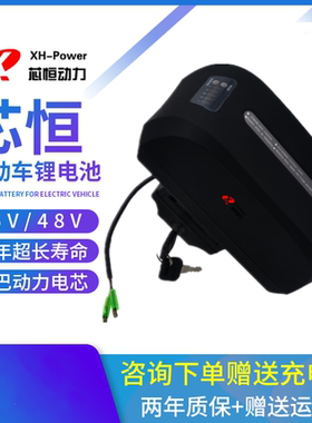 36V锂电池海宝一号36V10.5ah电瓶电动车自行车用于艾妮儿GWB升特