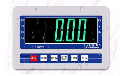 顺展物流秤叉车充电器6v