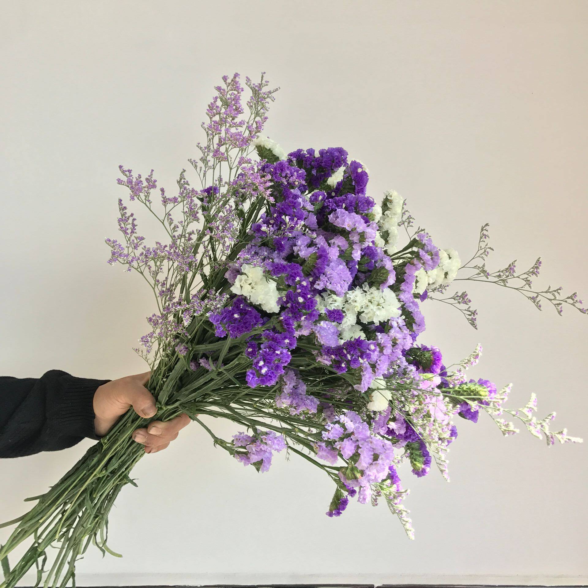 勿忘我鲜花勿忘我干花花束地摊新模式情人草水晶一束一斤真花