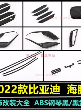 适用于比亚迪海豚ATTO1亮黑外饰改装拉手贴门边条前后杠饰条配件