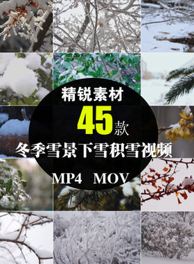 冬季雪景下雪天雪花压树枝初雪特写镜头实拍摄影背景抖音视频素材