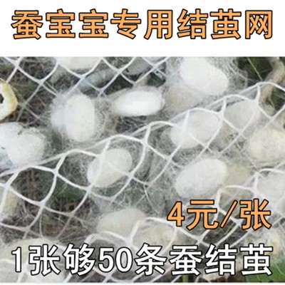 蚕宝宝结茧网 蚕上山工具 够100条蚕结茧 蚕吐丝结茧网 5张包邮