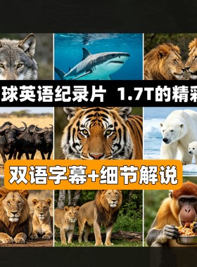 高清全球英语纪录片 练英语磨耳朵纪录片 网盘发 超高清细节解说