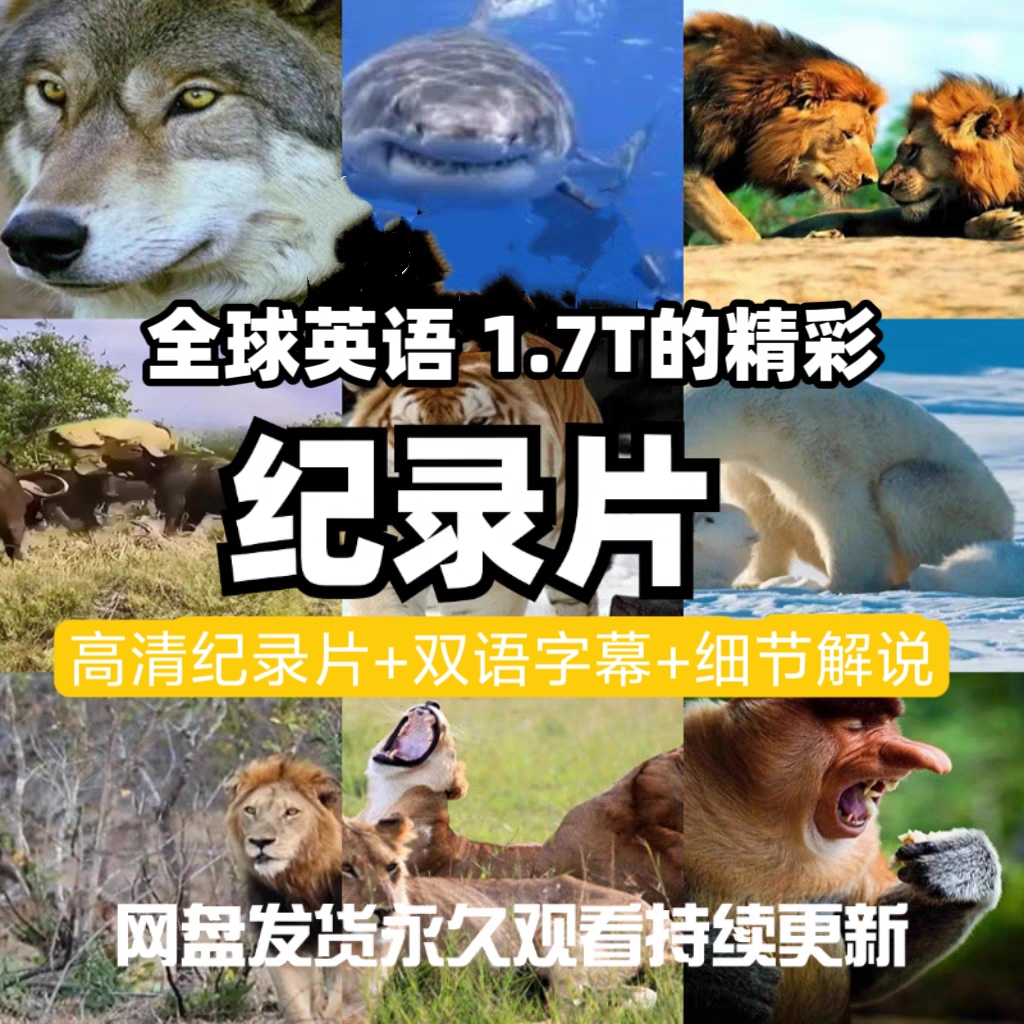 高清全球英语纪录片全集 跟着纪录片学英语磨耳朵 网盘发
