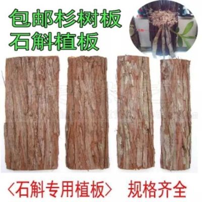 杉树片石斛种植版石斛苔藓