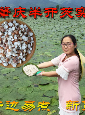 26年新货肇庆芡实干货新鲜500g农家自产茨实欠实仿野生鸡头米半开